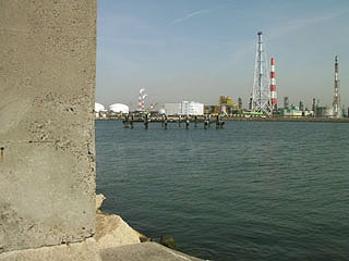 negiyo-senbokuA26.jpg