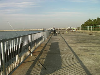 negiyo-senbokuA28.jpg
