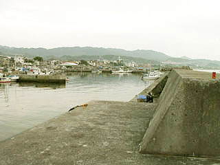 nisitotori1.jpg