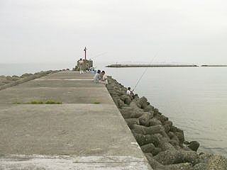 nisitotori4.jpg