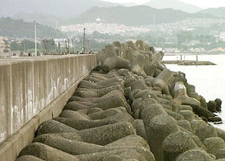nisitotori7.jpg
