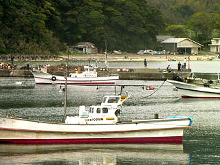 obase19.jpg