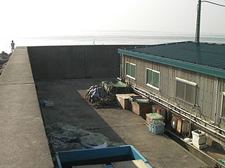 okadaaori17.jpg