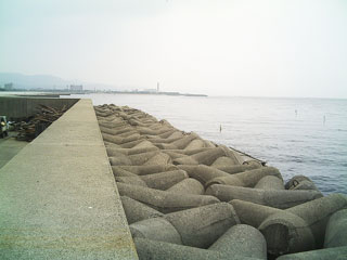 okadaura2.jpg