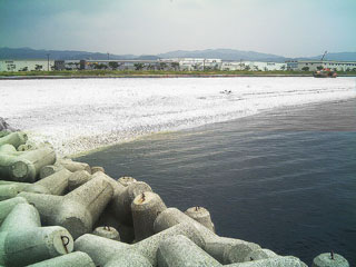 okadaura3.jpg