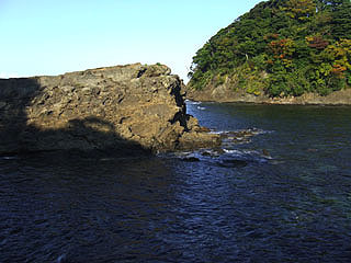 otomi-siyougakukouura13.jpg