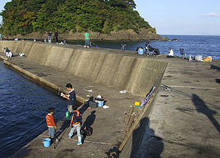 otomi-siyougakukouura30.jpg