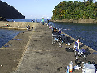 otomi-siyougakukouura32.jpg