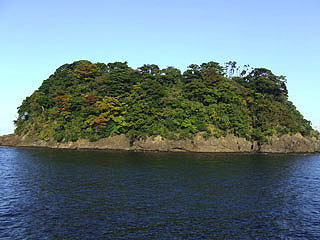 otomi-siyougakukouura36.jpg