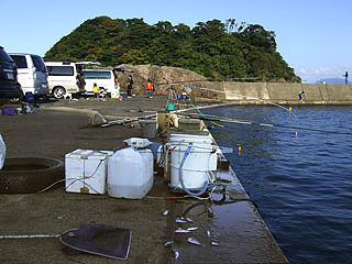otomi-siyougakukouura8.jpg
