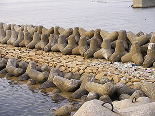 sanogiyokouB23.jpg