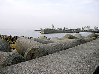 sanogiyokouB24.jpg