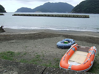 satuki1.jpg