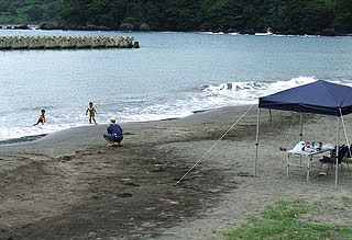 satuki8.jpg