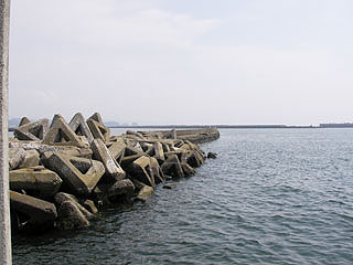 seigan14.jpg
