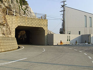 sirasaki3.jpg