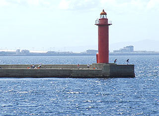 siyockon25.jpg