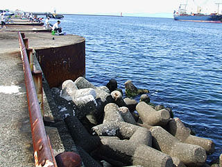 siyockon38.jpg