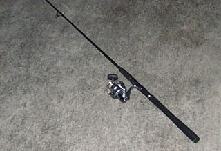 taimuG8.jpg