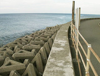 tanagawaura1.jpg