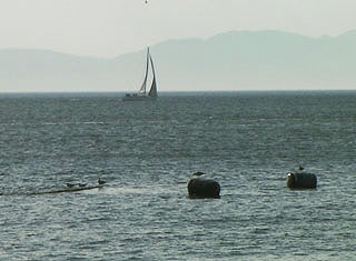tanagawaura7.jpg