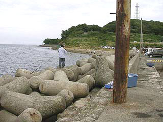 tanigawa12.jpg