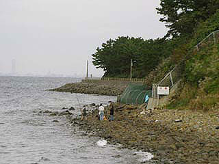 tanigawa17.jpg