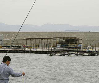 tanigawa18.jpg