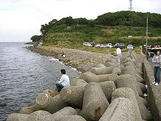 tanigawa22.jpg