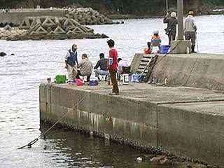 tanigawa23.jpg