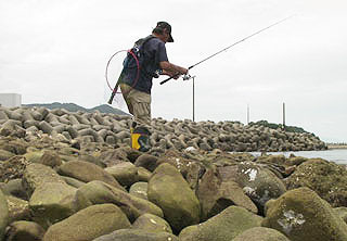 tanigawamisaki3.jpg