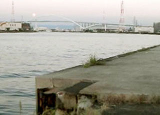 tatiuo2009-001.jpg