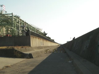 tatiuo2009-10.jpg
