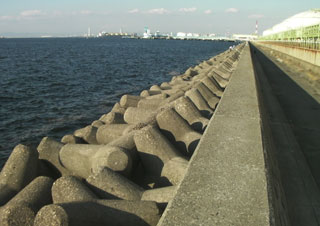 tatiuo2009-11.jpg