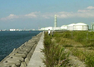 tatiuoMOVE2009-2.jpg