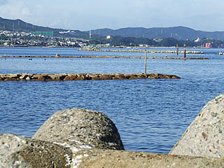 totorinosiyou6.jpg