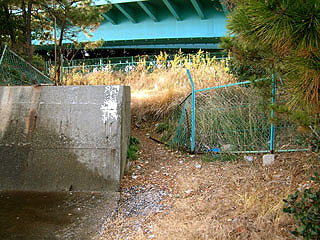 tuneyosi200812.jpg