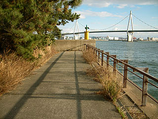 tuneyosi200813.jpg