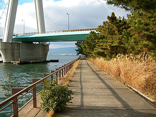 tuneyosi200814.jpg