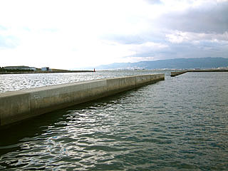 tuneyosi200816.jpg