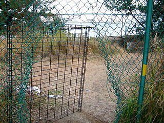 tuneyosi200818.jpg