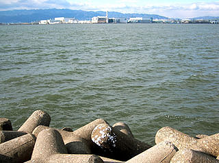 tuneyosi20082.jpg