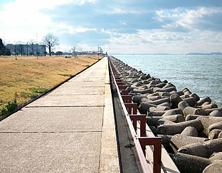 tuneyosi20083.jpg