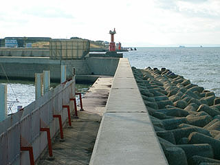tuneyosi20086.jpg