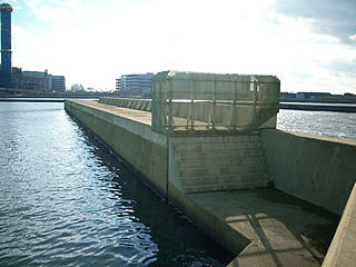 tuneyosi20087.jpg