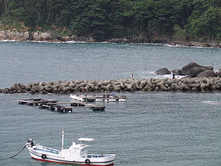 uwase8.jpg