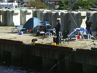 wada41.jpg