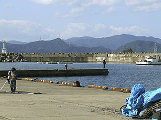wada6.jpg