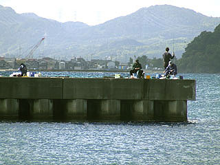 wada9.jpg