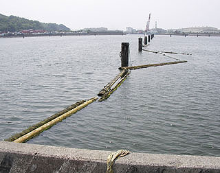 wakayama-unknou2.jpg